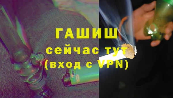 spice Новодвинск