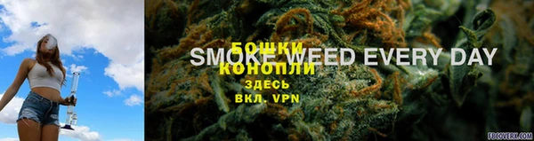 spice Новодвинск