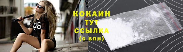 spice Новодвинск