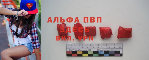 spice Новодвинск