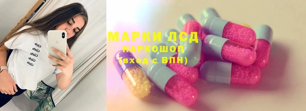 spice Новодвинск