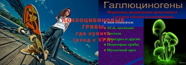 трава Новозыбков
